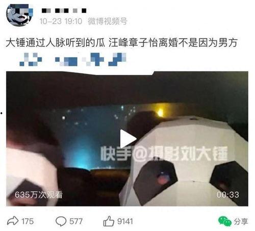 刘大锤爆料恋情最新消息,神秘女友曝光,甜蜜互动引热议